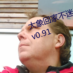 大(d)象回家不迷(mí)路三秒自动跳转入口(ku)v0.91