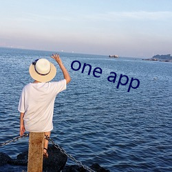 one app