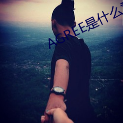 AGREE是什么意思