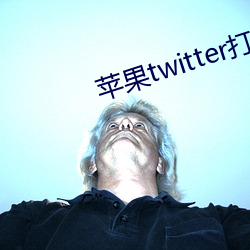 ƻtwitter打不开(_)