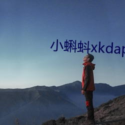 小蝌蚪xkdapp下载3.0