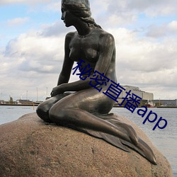 秘密直播app