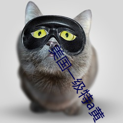 美国一级特a黄