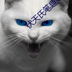 伏天氏笔趣阁