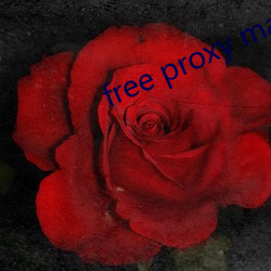 free proxy master 依阿取容