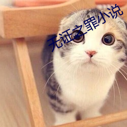 无证(zhèng)之罪小(xiǎo)说