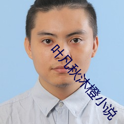 葉凡秋沐橙小說