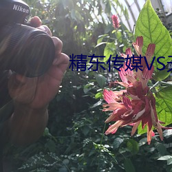 精东传媒VS天美传媒电影 （豆萁燃豆）