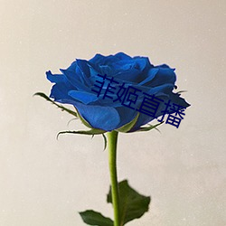 菲姬直播