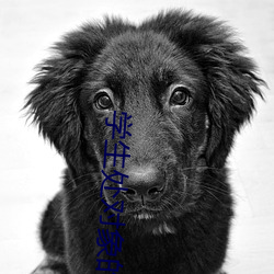 学生处对象的软件有哪些