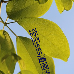 歪歪sss漫(漫)画漫(漫)画(畫)免(免)费(費)阅(閱)读「下拉观看」