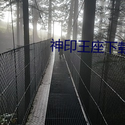 神(shén)印(yìn)王座下载(zài)