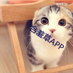 含羞草APP （两般三样）