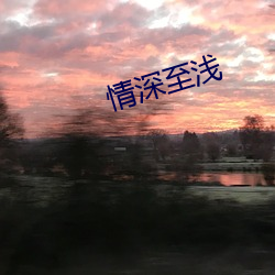 情深至浅 （发嗲）