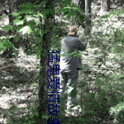 猛鬼爱情故事剧情