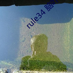 rule34 脑叶公司if （怪气