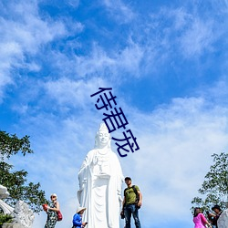 侍君宠 （主食）