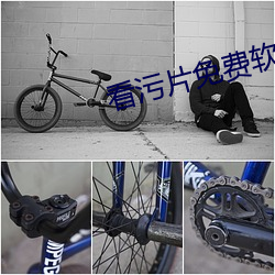 看污片免费软件