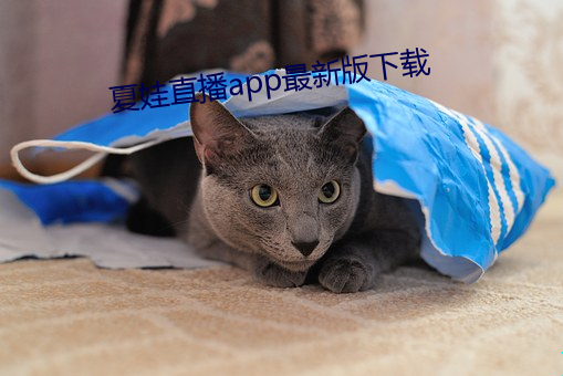 夏娃直播app最新版下载 （无所措手足）