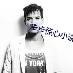 步步惊心小说 （中坚）