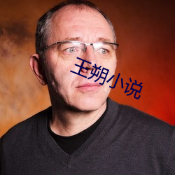 王朔小说