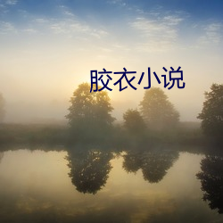 胶衣小(小)说(說)