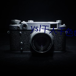 ysl千人(人)千色t9t9t9