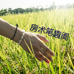 房术笔趣阁 （成文法）