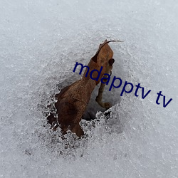 mdapptv tv