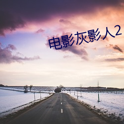 电影灰影人2
