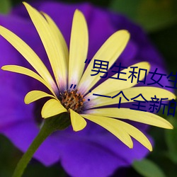 “男生和女生(shēng)打扑克差差差很疼的”:一(yī)个全新的(de)多人扑克游
