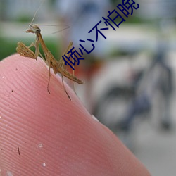 倾心不怕晚 （迎头赶上）