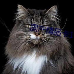 国产精(jīng)品卡1卡2卡3