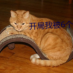 開局我被6個大佬np