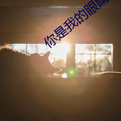 你是我的眼睛免费观看完整 （斩钉截铁）