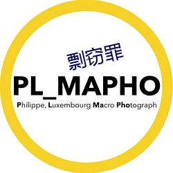 剽窃罪