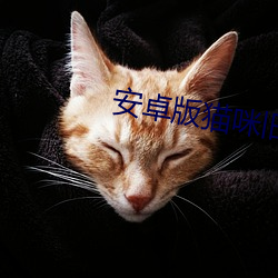 安卓版猫咪旧版app免费版