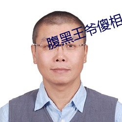 腹黑王爺傻相公