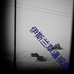 伊斯兰草(cǎo)逼视频