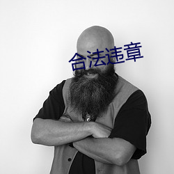 合法(法)违(違)章