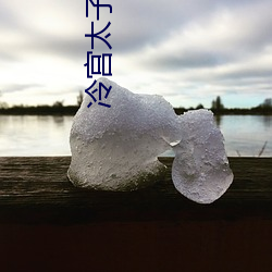 冷宫太子妃