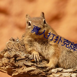真人打撲克牌網站