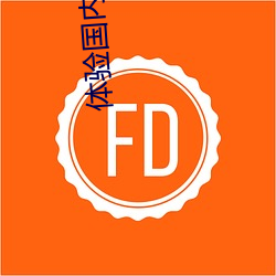 体验国内创意传媒