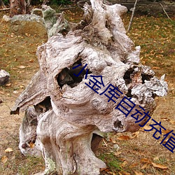 小(xiǎo)金(jīn)库自动(dòng)充值怎(zěn)么关闭