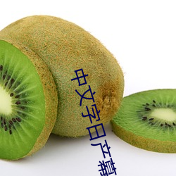 中(中)文(文)字日(日)产幕码(碼)一二区