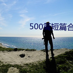 500篇短篇合之(zhī)全文阅读