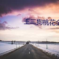 王二狗桃花全文免费 （空身）