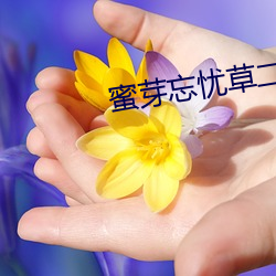 蜜芽忘忧草(cǎo)二区老狼果冻传(chuán)