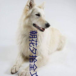朝花夕拾全文 （羁绊）