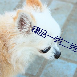 精(精)品一(一)线(線)二线三(三)线区(區)精华液(液)